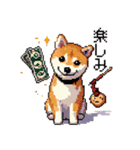 ドット絵 柴犬 新年あけおめ 40種（個別スタンプ：40）