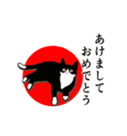 あけおめ☆動くハチワレ猫2024（個別スタンプ：3）