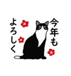 あけおめ☆動くハチワレ猫2024（個別スタンプ：5）
