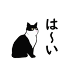 あけおめ☆動くハチワレ猫2024（個別スタンプ：10）