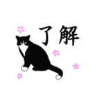 あけおめ☆動くハチワレ猫2024（個別スタンプ：11）