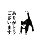あけおめ☆動くハチワレ猫2024（個別スタンプ：19）