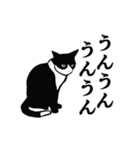 あけおめ☆動くハチワレ猫2024（個別スタンプ：21）
