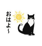 あけおめ☆動くハチワレ猫2024（個別スタンプ：23）