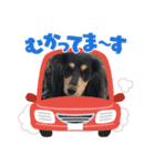 M.ダックス(可愛い系)（個別スタンプ：3）