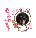 M.ダックス(いやし)（個別スタンプ：6）