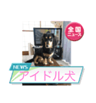 M.ダックス(いやし)（個別スタンプ：7）