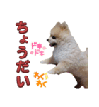 ルークの番ですLINEスタンプ3（個別スタンプ：7）