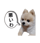 ルークの番ですLINEスタンプ3（個別スタンプ：16）