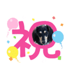 M.ダックス(ケチャピーちゃん)（個別スタンプ：3）