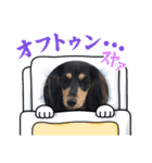 M.ダックス(ケチャピーちゃん)（個別スタンプ：4）