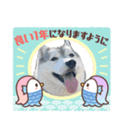 オレオイベント（個別スタンプ：5）