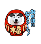 オレオイベント（個別スタンプ：7）