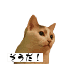 にしつじくららのスタンプ（個別スタンプ：9）