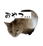 にしつじくららのスタンプ（個別スタンプ：15）
