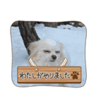 ぐっちゃんもこちゃんスタンプ（個別スタンプ：7）