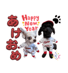 ちょこもずく①（個別スタンプ：3）