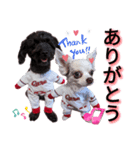 ちょこもずく①（個別スタンプ：4）