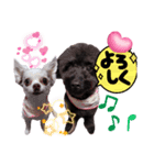 ちょこもずく①（個別スタンプ：7）