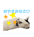「もち」と「ふく」（個別スタンプ：3）