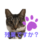 「もち」と「ふく」（個別スタンプ：17）