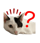 「もち」と「ふく」（個別スタンプ：23）