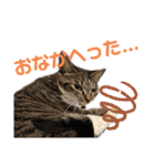 「もち」と「ふく」（個別スタンプ：32）