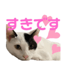 「もち」と「ふく」（個別スタンプ：33）