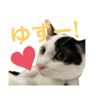 「もち」と「ふく」（個別スタンプ：39）