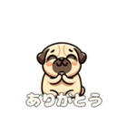 犬のスタンプ（パグ）（個別スタンプ：3）