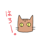 茶トラねこです。（個別スタンプ：1）