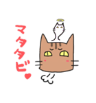 茶トラねこです。（個別スタンプ：16）