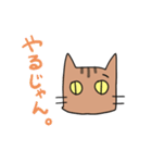 茶トラねこです。（個別スタンプ：18）