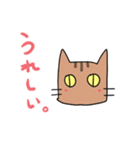 茶トラねこです。（個別スタンプ：24）