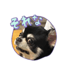 かい。23．3ページ。（個別スタンプ：3）