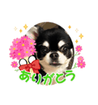 かい。23．3ページ。（個別スタンプ：5）