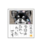 かい。23．3ページ。（個別スタンプ：6）