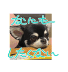 かい。23．3ページ。（個別スタンプ：7）