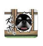かい。23．3ページ。（個別スタンプ：8）