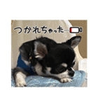 かい。23．3ページ。（個別スタンプ：9）