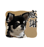 かい。23．3ページ。（個別スタンプ：11）