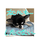 かい。23．3ページ。（個別スタンプ：12）