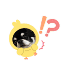 かい。23．3ページ。（個別スタンプ：19）