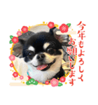 かい。23．3ページ。（個別スタンプ：20）