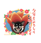 かい。23．3ページ。（個別スタンプ：23）