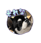 かい。23．3ページ。（個別スタンプ：24）