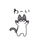 めがねこっこ。（個別スタンプ：11）