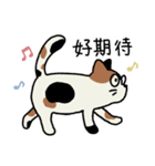 めがねこっこ。(繁体字 ver.)（個別スタンプ：7）