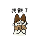 めがねこっこ。(繁体字 ver.)（個別スタンプ：8）