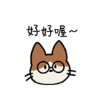 めがねこっこ。(繁体字 ver.)（個別スタンプ：15）